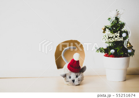 クリスマス&ニューイヤー クリスマス&ニューイヤー 55251674
