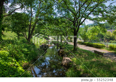 矢瀬親水公園　水辺　矢瀬遺跡　群馬県みなかみ町　 55252348