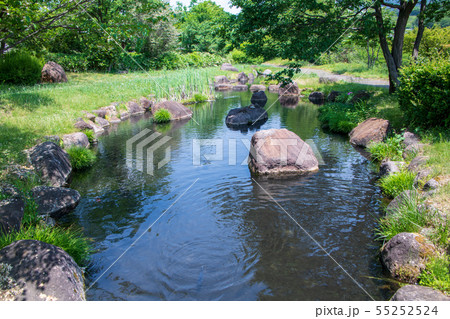 矢瀬親水公園 水辺 矢瀬遺跡 群馬県みなかみ町 矢瀬親水公園 水辺 矢瀬遺跡 群馬県みなかみ町 55252524