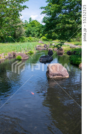 矢瀬親水公園 水辺 矢瀬遺跡 群馬県みなかみ町 矢瀬親水公園 水辺 矢瀬遺跡 群馬県みなかみ町 55252525