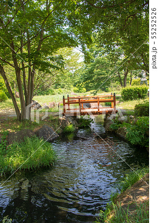 矢瀬親水公園 水辺 矢瀬遺跡 群馬県みなかみ町 矢瀬親水公園 水辺 矢瀬遺跡 群馬県みなかみ町 55252526