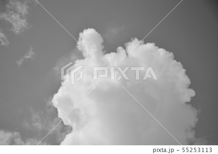 天狗の様な形の涌き雲（モノクロ）　空を見上げる雲の造形（モノクロ） 55253113