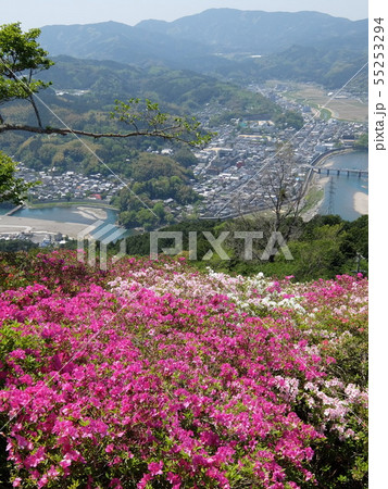 大洲市冨士山のツツジと藤棚 55253294