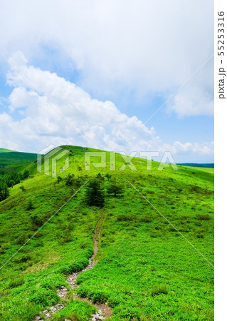 車山高原の風景 (夏) : 北の耳から南の耳を望む 車山高原の風景 (夏) : 北の耳から南の耳を望む 55253316