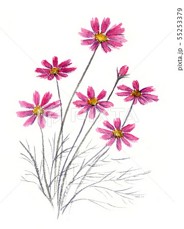 水墨画　花の絵x4 （春夏秋冬）テンキョク作 水墨画四季折々の花: 墨と彩りのはがき絵210例 | 大月 紅石 |本