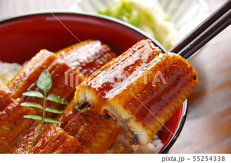 鰻丼　うな丼　鰻 55254338