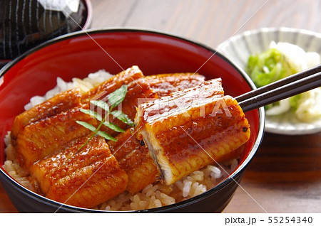 鰻丼　うな丼　鰻 55254340