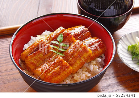 鰻丼　うな丼　鰻 55254341