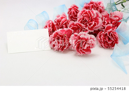 カーネーション　赤いカーネーション　カーネーションの花束 55254418