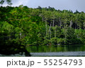 白駒の池 55254793