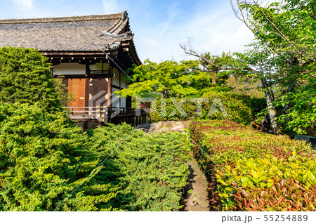 宸殿とハイビャクシン 京都勧修寺 55254889