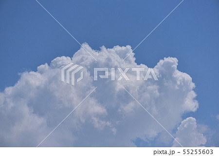 夏空に発生した積乱雲 55255603