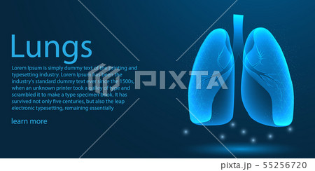 Human Lungs medical organ. low poly wireframe 55256720