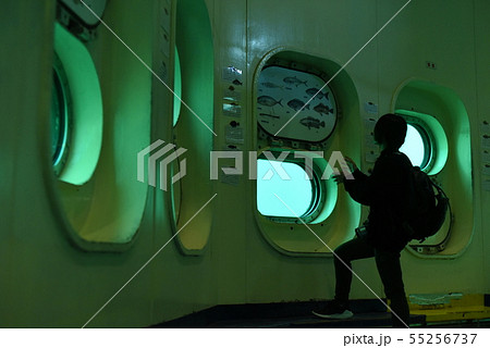 かつうら海中公園で遊ぶ子ども３ 55256737