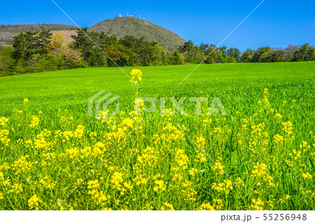 島根の名峰「三瓶山」東の原（島根県飯石郡飯南町）※作品コメント欄に撮影位置 55256948