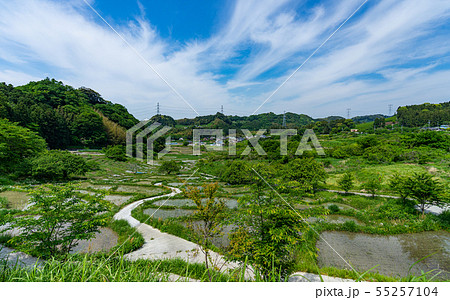 静岡・せんがまちの棚田と青空 55257104