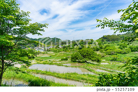 静岡・せんがまちの棚田と青空 55257109