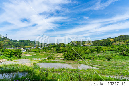 静岡・せんがまちの棚田と青空 55257112
