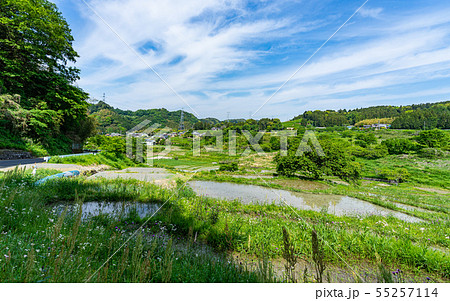 静岡・せんがまちの棚田と青空 静岡・せんがまちの棚田と青空 55257114