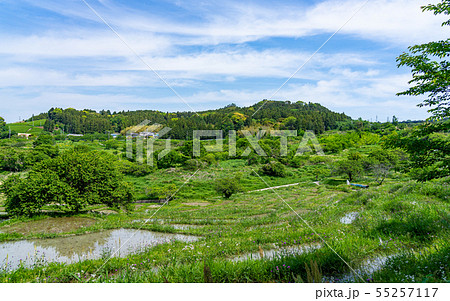 静岡・せんがまちの棚田と青空 55257117