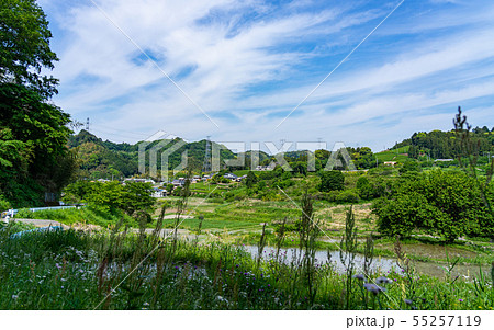 静岡・せんがまちの棚田と青空 静岡・せんがまちの棚田と青空 55257119