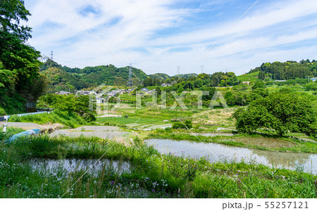 静岡・せんがまちの棚田と青空 静岡・せんがまちの棚田と青空 55257121