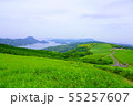 草原と海 55257607