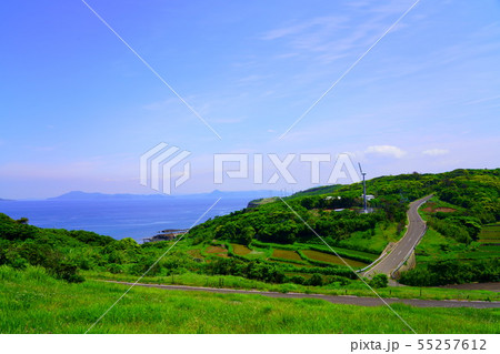 風車と棚田 55257612