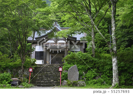 箱根仙石原 【神奈川県】 公時神社 【夏】 箱根仙石原 【神奈川県】 公時神社 【夏】 55257693