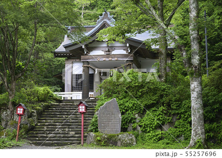 箱根仙石原 【神奈川県】 公時神社 【夏】 箱根仙石原 【神奈川県】 公時神社 【夏】 55257696