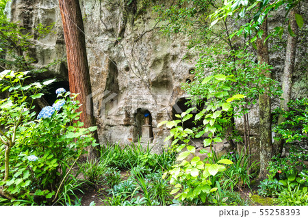 北鎌倉 明月院 やぐらのお地蔵様 北鎌倉 明月院 やぐらのお地蔵様 55258393