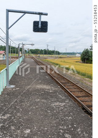 知来乙駅 55258453