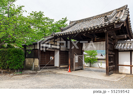 山門と築地塀 京都勧修寺 山門と築地塀 京都勧修寺 55259542