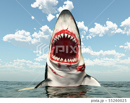 shark jumping out of water hd