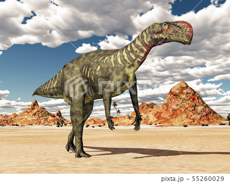 Dinosaur Altirhinus in a desert landscape 55260029