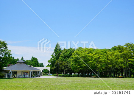 蜻蛉池公園 大阪府 蜻蛉池公園 大阪府 55261741