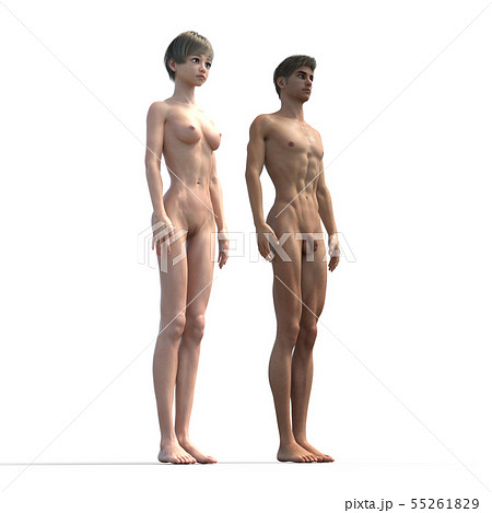 男女の体型　比較　フルヌード　perming3DCG イラスト素材 55261829