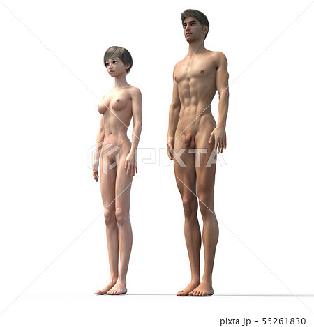 男女の体型 比較 フルヌード perming3DCG イラスト素材 男女の体型 比較 フルヌード perming3DCG イラスト素材 55261830