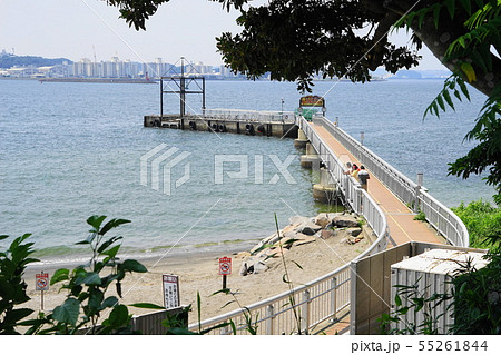 7月　横須賀191猿島桟橋 55261844