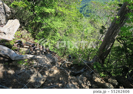 【日本百名山】石鎚山　上から見た試しの鎖　愛媛県西条市 55262606