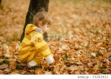 Happy little boy laughing and playing in the Happy little boy laughing and playing in the 55262812