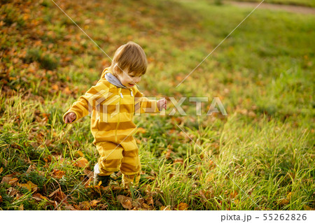 Happy little boy laughing and playing in the Happy little boy laughing and playing in the 55262826