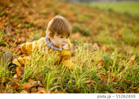 Happy little boy laughing and playing in the 55262830