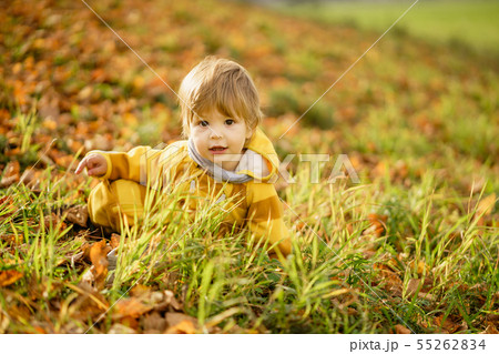 Happy little boy laughing and playing in the 55262834