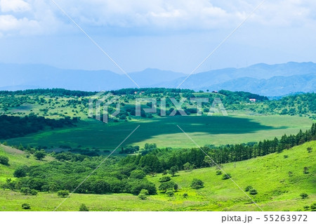 車山高原の風景 （夏）　：　ゼブラ山（男女倉山）から八島湿原を望む 55263972