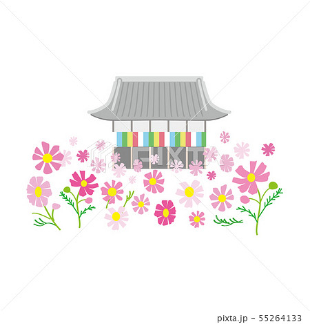 奈良 般若寺 コスモス 奈良 般若寺 コスモス 55264133