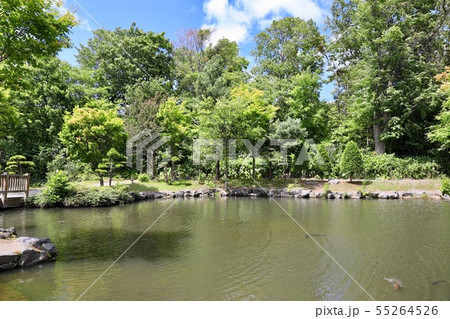 風の強い日の鶴沼公園・浦臼町 風の強い日の鶴沼公園・浦臼町 55264526