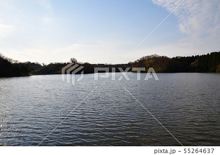 二箇堤（新潟県） 55264637