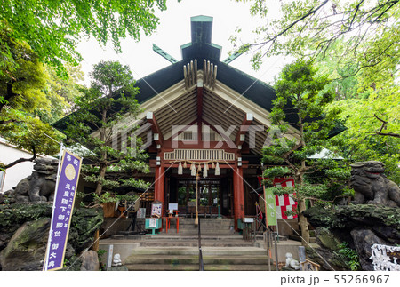 亀戸七福神で有名な江東天祖神社の拝殿 55266967