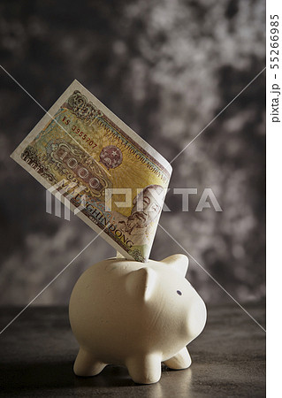 ベトナムの紙幣 1000ドン札と豚の貯金箱の写真素材
